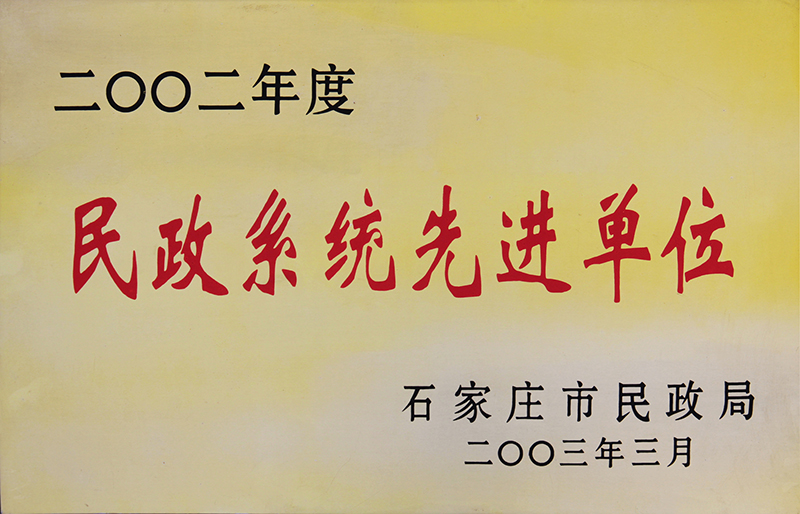 2002年度民政系统先进单位