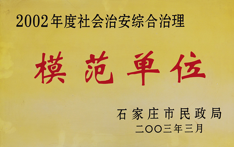 2002年度社会治安综合治理模范单位